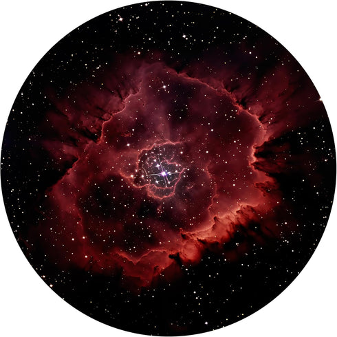 Orzorz Slide Discs Star Projector Galaxy Plus Home Planetarium Projector (Work Star Projector Plus) (rosette nebula)...