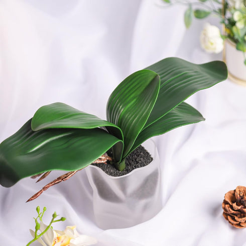 Miracliy Phalaenopsis Orchid Leaves Fake Leaves Real Latex Touch Plants Arrangement...