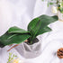 Miracliy Phalaenopsis Orchid Leaves Fake Leaves Real Latex Touch Plants Arrangement...