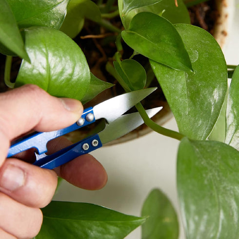 3Pcs 4 Inch Bonsai Pruning Scissors, Bud And Leaves Trimmer Yarn Thread Cutter Snips Trimming Supplies, Gardening Clippers Flower, thread snips, U...