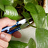 3Pcs 4 Inch Bonsai Pruning Scissors, Bud And Leaves Trimmer Yarn Thread Cutter Snips Trimming Supplies, Gardening Clippers Flower, thread snips, U...