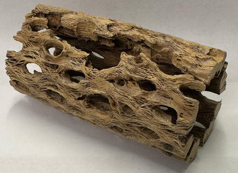 Natural Cholla Wood Chunk Air Plant Display Holders Individually Unique Decorative Stands Holder (Cholla Chunk)...
