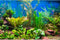 AWERT 30x18 inches Aquarium Background Aquatic Plant River Bed & Lake Fish Tank Background Vinyl...