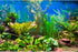 AWERT 30x18 inches Aquarium Background Aquatic Plant River Bed & Lake Fish Tank Background Vinyl...