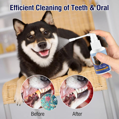 Dog Breath Spray for Bad Breath, Dog Teeth Cleaning Spray for Pet Dental Care,Dogs and Cats Plaque and Tartar Remover,Pet Friendly, Great for Pet ...