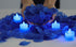 LANKER 500 PCS Blue Artificial Rose Petals with 24 PCS Bright Flickering Blue Flameless LED Tea Lights Candles for Valentine's Day and Romantic Oc...