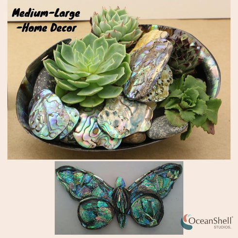 Abalone (P?ua) Shell Pieces-7.05oz Pack-for Crafts, Jewelry Making, Resin Art, Inlay, Home Decorations, Fishtank Supplies, DIY Projects - Satin, S...