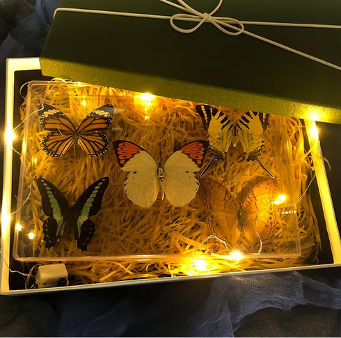 Real Dried Dead Butterflies with Spread Wings Shaped, Natural Unmounted Butterfly Specimens for Art, DIY Decorations, Taxidermy and Gifts for Kids...