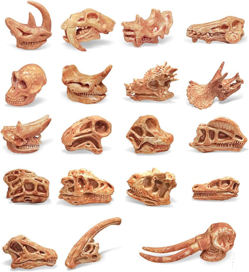 19 PCS Mini Mammal Skull Set Realistic Dinosaur Bones Prehistoric Animals Head Skeleton Playsets Ancient Daeodon Mastodon Collection Figures Model...