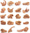 19 PCS Mini Mammal Skull Set Realistic Dinosaur Bones Prehistoric Animals Head Skeleton Playsets Ancient Daeodon Mastodon Collection Figures Model...