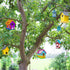 hapray 2 Pack Bird House Kit, DIY Birdhouse Kits, Wooden Crafts Arts for Children to Build and Paint (Includes Paints & Brushes) for Kids Girls Bo...