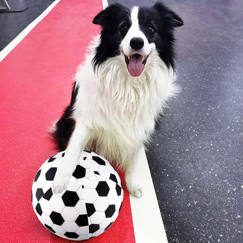 BABORUI Dog Toys Soccer Ball, 8" Interactive Dog Soccer Ball with Cover Tools, Durable Herding Ball for Small Medium Large Dogs...