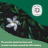 FGO Organic Jasmine Green Tea, 100 Count, Eco-Conscious Tea Bags, Resealable Bag, Packaging May Vary (Pack of 1)...