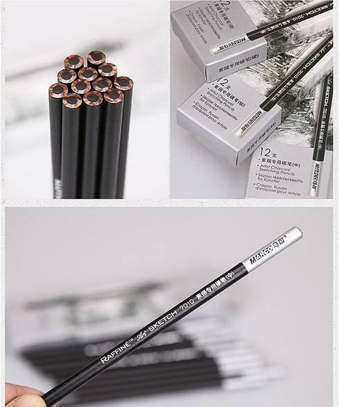Sketch Pencil Charcoal Sketch Pencil Set, Pencil Core Hardness Medium - 12 pcs...