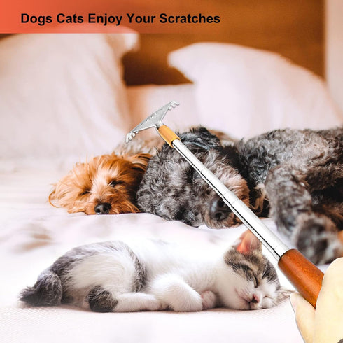 Back Scratcher, Metal Back Scratcher Telescopic Wooden Handle with Steel Roller Ball- Wide Claw, Portable Face Head Scalp Butt Scratcher Back Mass...