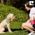 RC Pet Products Versatile, Convenient, Compact Essential Treat Bag | Multi-Stripes...