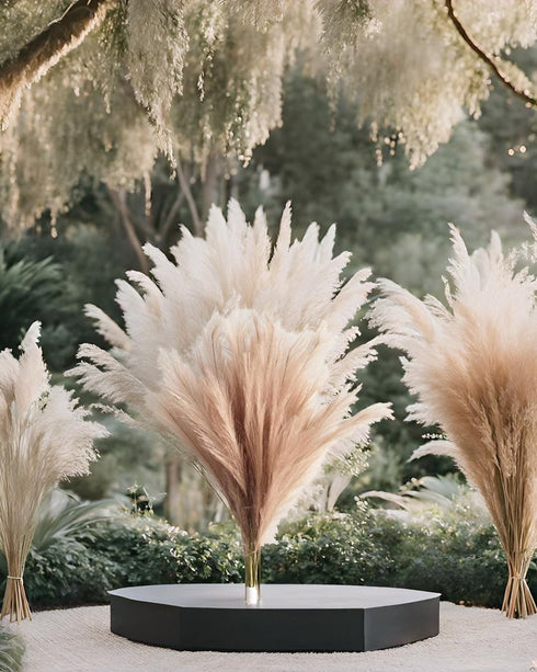 UiiziC Faux Pampas Grass Dried Fluffy Artificial 6pcs 35" Ascendant Grass for Vase Fillers Wedding Party Bouquets Home Hotel Centerpieces Decor (B...
