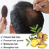 Ginger Hair Growth Conditioner Hair Regrowth Cream Moisturizing Scalp Massage Hair Follicle Hair Care 3.53 oz...