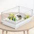 Reptile Artificial Plants, Terrarium Plants Decorations Supplies, Aquarium Fish Tank Plant, Amphibian Habitat Hideout Tank Accessories(M Set-4pcs/...