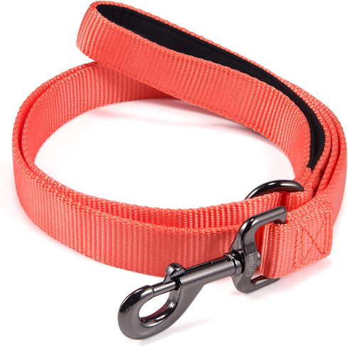 4 Feet Dog Leash with Padded Handle-Sturdy Nylon Dogs Leads for Small Medium Large Giant Dogs Walking,Training,Hiking,Jogging,Camping,etc (Living ...