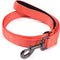 4 Feet Dog Leash with Padded Handle-Sturdy Nylon Dogs Leads for Small Medium Large Giant Dogs Walking,Training,Hiking,Jogging,Camping,etc (Living ...