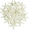 LJY 25 Pieces Beige Resin Pencil Finger Starfish for Wedding Decor, Home Decor and Craft Project, 2.3 Inches...
