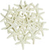 LJY 25 Pieces Beige Resin Pencil Finger Starfish for Wedding Decor, Home Decor and Craft Project, 2.3 Inches...