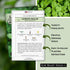 Sow Right Seeds - Lemon Balm Seeds for Planting - Non-GMO Heirloom Packet with Instructions - Easy to Grow Herb Garden - Aromatic Herb and Great f...