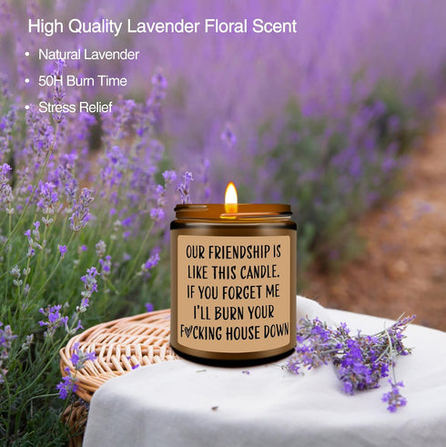 Homsolver Funny Scented Soy Candle Gifts, Our Friendship F Candle - Premium Lavender Scent, Best Friend Birthday Christmas Gifts for Women Friends...
