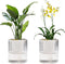 Self Watering Planter,Indoor Plants Pots for 4 Inch,2 Pack Clear White Plastic Flower Pot with Wick Rope,Home Modern Cylindrical Ribbed Decorative...
