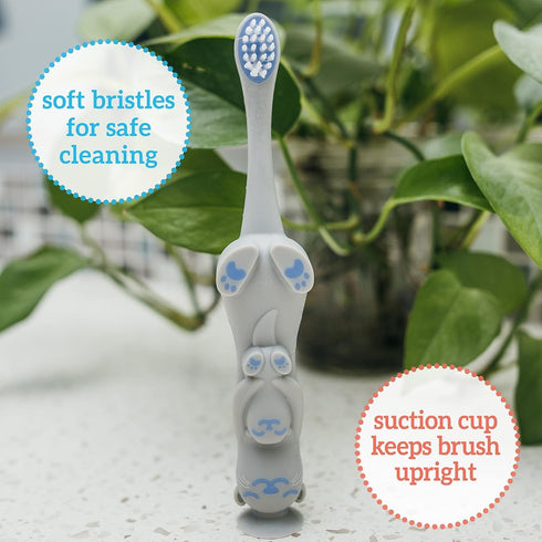 Dr. Brown’s Otter Toddler Toothbrush, Soft Bristles with Suction Cup for Storage, BPA Free, Ages 1-4, 1-Pack...
