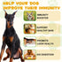 Dog Allergy Relief,Allergy Immunity for Dogs,Dog Allergy Support,Allergy Relief for Dogs Itching Natural Pet Supplement,Daily Vitamins for Healthy...