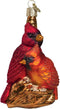 Old World Christmas Pair Bird Watcher Collection Glass Blown Ornaments for Christmas Tree,Northern Cardinal...