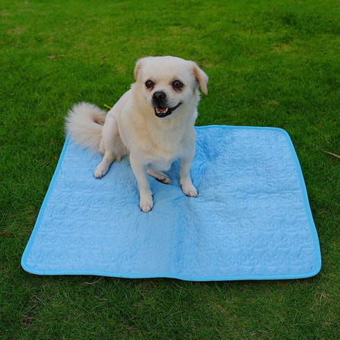 Cat Dog Cooling Mat, Ice Silk Mat, Keep Pets Cool, Machine Washable Pet Cooling Pad for Beds, Kennels, Sofas, Beds, Floors, Car Seats (S-20'' × 16...
