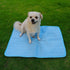 Cat Dog Cooling Mat, Ice Silk Mat, Keep Pets Cool, Machine Washable Pet Cooling Pad for Beds, Kennels, Sofas, Beds, Floors, Car Seats (S-20'' × 16...