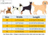 ARING PET Bowtie Dog Collar Adjustable Collars with Bow Tie for Dogs Small Medium Large...
