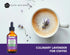 Kate Naturals Premium Lavender Extract for Baking, Drinks & Coffee. Food Grade Lavender Oil, Culinary Lavender Extract for Cooking (1oz, Sugar Fre...
