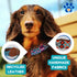 Handmade Dog Collar Adjustable Size S - Unique Pet Accessories, Handcrafted in Mexico, Unique Design, Durable and Strong for Your Dog (Black and W...