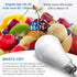 Briignite 3 Way LED Light Bulbs 50-100-150W Equivalent Daylight White 5000K, 3-Way A21 LED Light Bulb E26 Medium Base, 600LM-1250LM-1850LM, Perfec...
