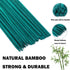 Green Bamboo Stick Plant Pile Indoor Garden Flower Plant Rack is Suitable for Bamboo Garden Stick, Bamboo Label Garden Stick Potted Plants, Crafts...