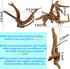 8 Pack Natural Driftwood for Aquarium, Aquarium Decor Spider Wood Freshwater Fish Tank Reptile Driftwood Branch (3.15"- 4")...