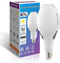 ORALUCE Super Bright LED Light Bulb 40W, ED90 E26 LED Bulb 500W Equivalent, 4000K Neutral White 4800LM, Garage Light Bulb Energy Saving Outdoor fo...