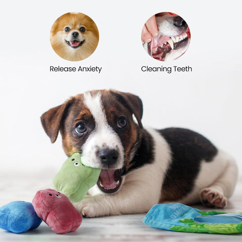 Nocciola Gummy Bear Dog Toys with a Bag, Plush Squeaky Dog Toy Set,Cute Stuffed Dog Chew Toys, for Small to Medium Dogs...