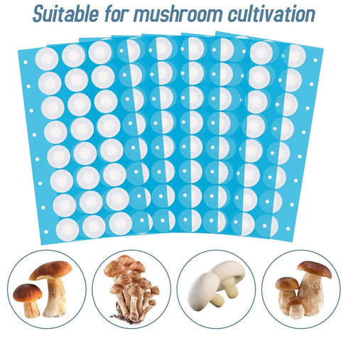 Synthetic Filter Paper Stickers 168 Pcs 20 mm 0.25 µm Filter Disc Mushroom Applied Under Wide Mouth Jar Lid for Mushroom Cultivation...