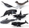 Mini Fish Figurines Set 6PCS Whale Bath Toys Figure Whale Ornament for Kids Toddlers Preschool Educational Playset...