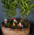 4Pcs Miniature Garden Gnome Set, Wizard Gnome 3D Dwarves Fairy Garden Gnome Statue Kit, Mini Outdoor Sculpture Garden Figurine Decoration for Lawn...