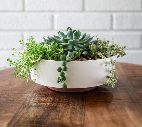 The HC Companies 6 Inch Round Capri Succulent Pot - Decorative Indoor Plastic Planter with Drainage, Faux Concrete...