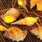 Starryfill Ocean Real Conch 10 LED String Lights 9.0Ft Waterproof Battery Operated Warm White with Timer for Beach Themed Indoor Covered Outdoor B...