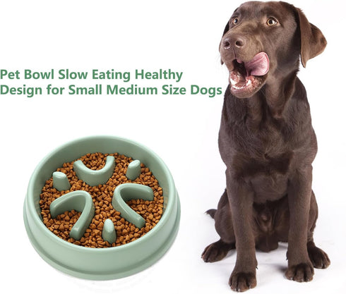 Slow Feeder Dog Bowls 2.5 Cups Dog Food Bowls, Pet Bowl Slow Eating Healthy Design Help Dog Slow Down Eating (D-Green)...