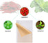 KONGDY Hot Capsicum Plaster Heat Patch Tiger Patches Neck Muscle Shoulders Body Muscle Herbal Plaster(20 pcs)...